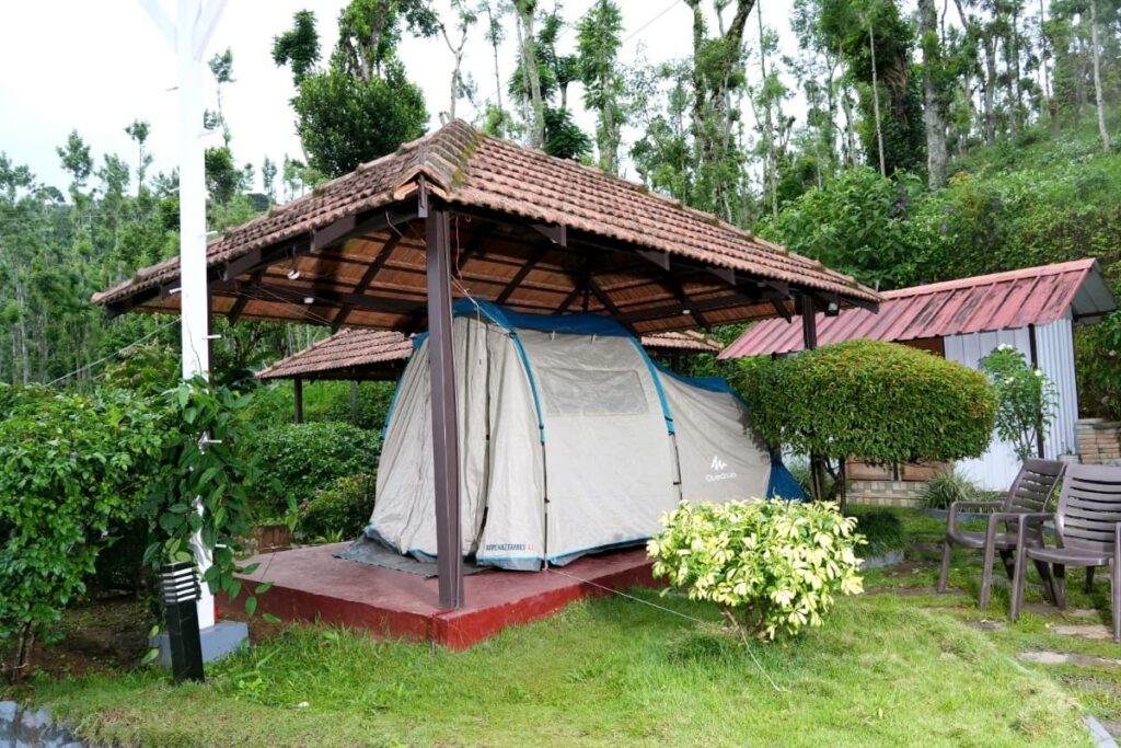 Jungle Greens Home Stay - Chikkamagaluru